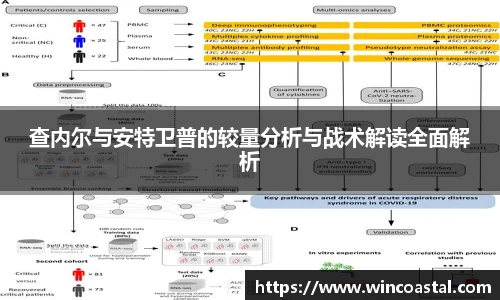 查内尔与安特卫普的较量分析与战术解读全面解析