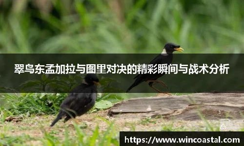 翠鸟东孟加拉与图里对决的精彩瞬间与战术分析